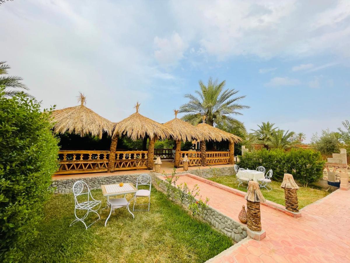 Paradis Touareg Zagora Exteriör bild