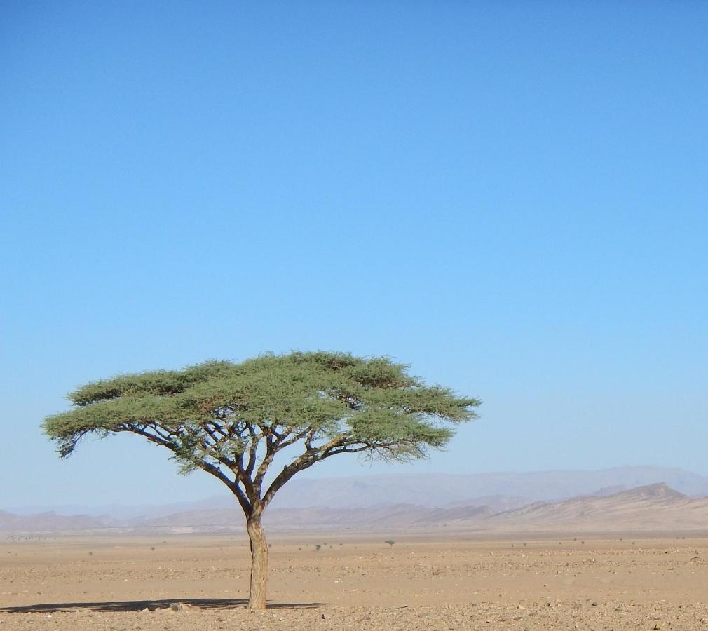 Paradis Touareg Zagora Exteriör bild
