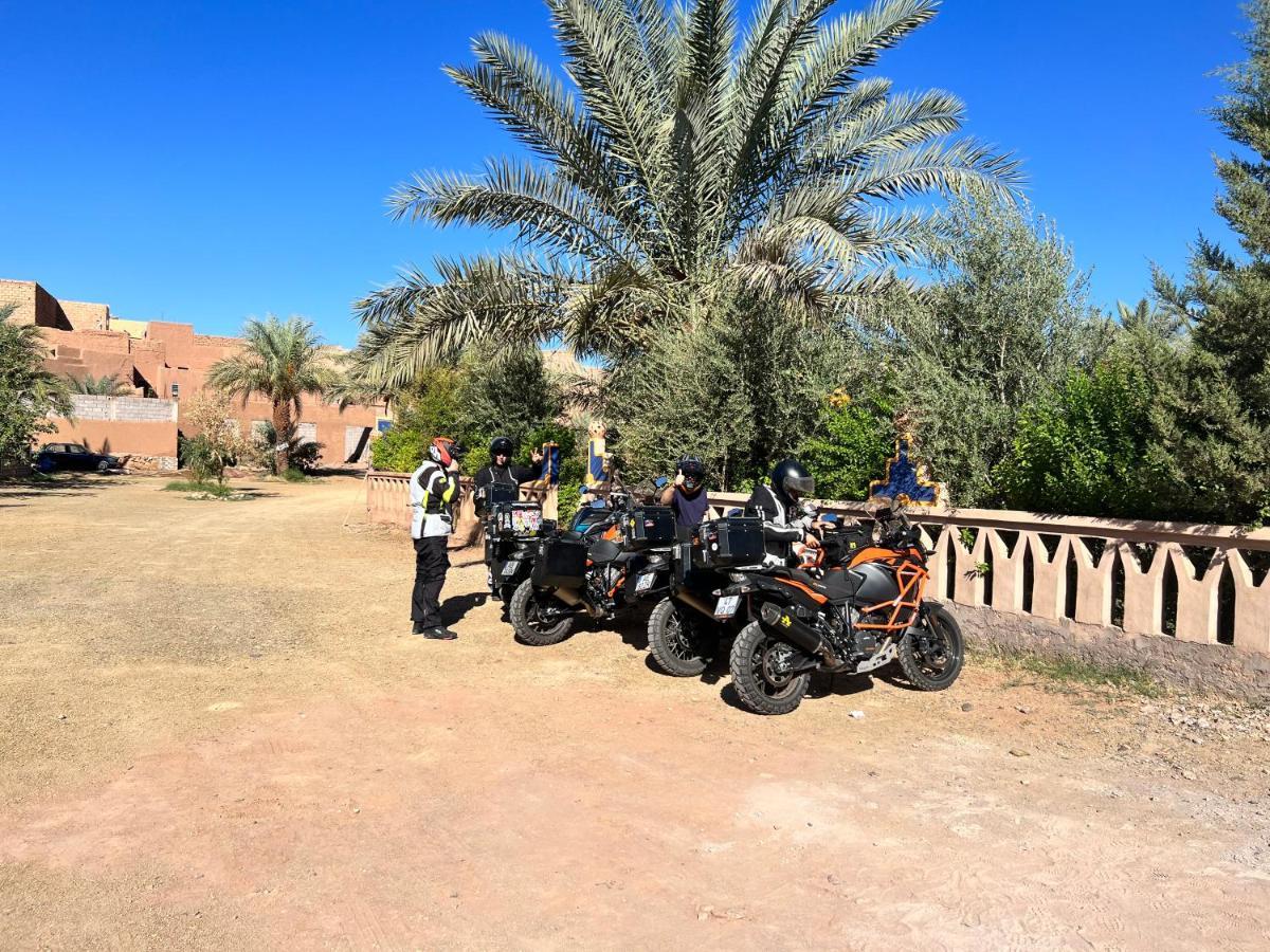 Paradis Touareg Zagora Exteriör bild